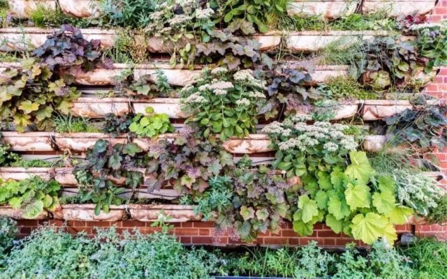 Vertical Gardening for Self-Sufficient Living Vertical Gardening for Self-Sufficient Living