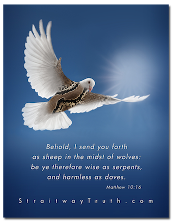 image Dove-Serpent, Matthew 10:16