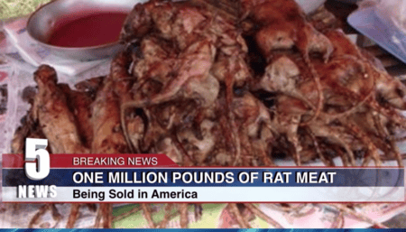 MILLION POUNDS OF RAT MEAT BEING SOLD AS BONELESS CHICKEN WINGS