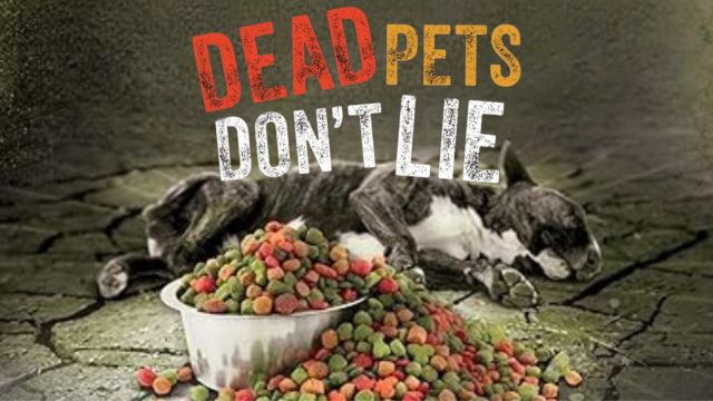 Dead Pets Don’t Lie—FDA Admission to Euthanized Pets Being Rendered Back in Commercial Pet Food (Video)